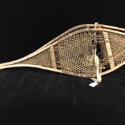 Cover image of Beavertail Snowshoes